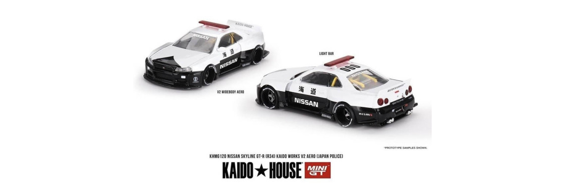 Nissan Skyline GT-R (R34) Kaido Works V2 Aero Japan Police #120